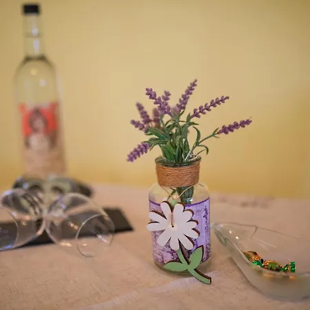 Dooscht Gaestehaus Reichshof