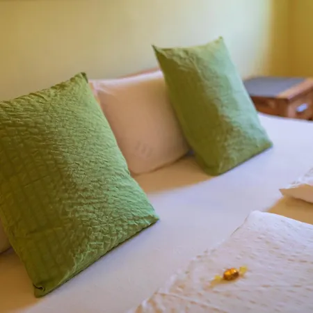 Dooscht Gaestehaus Reichshof 게스트하우스 4*