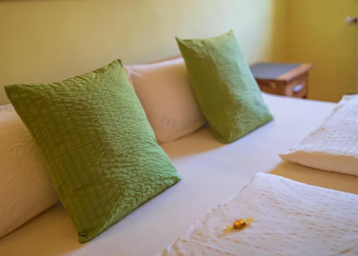 Dooscht Gaestehaus Reichshof Guest house 4*