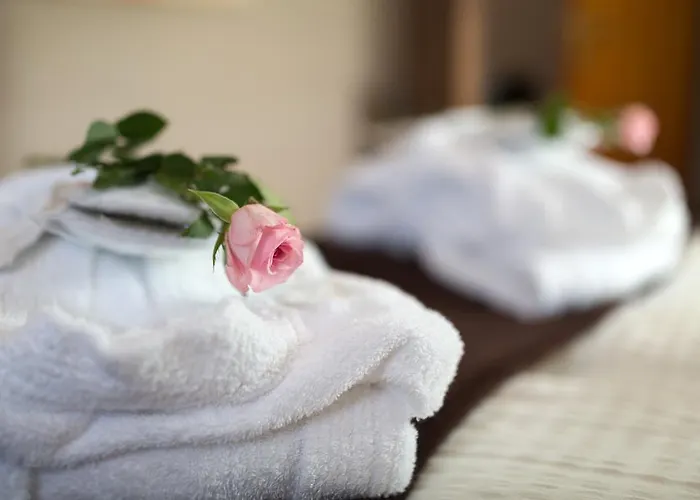 Guest house Dooscht Gaestehaus Reichshof Krov